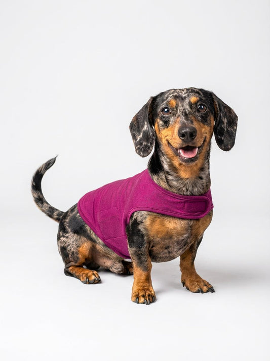 Dachy Anxiety Relief Jacket