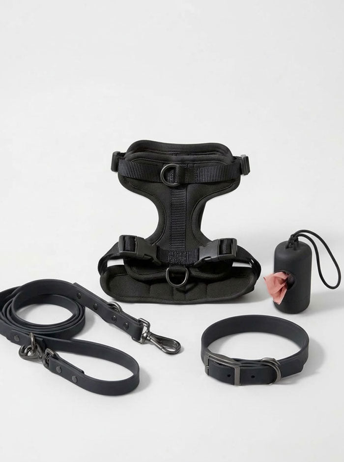 Dachy Waterproof Harness Set