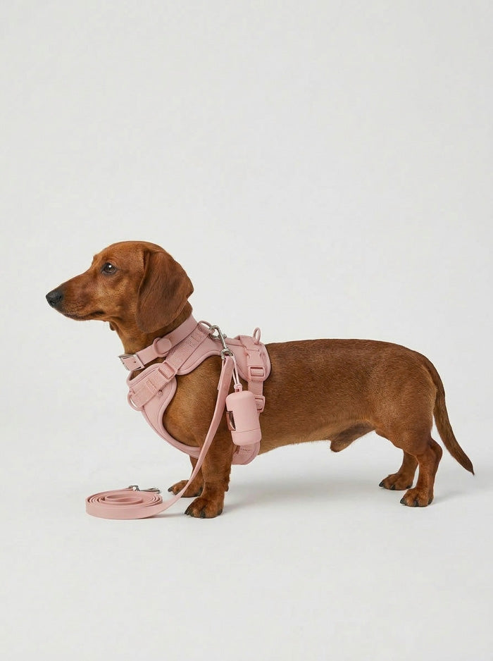 Dachy Waterproof Harness Set